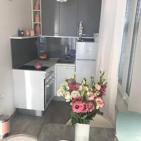 Ivandic Apartment *