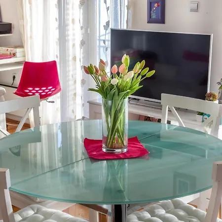 Apartment Ivandic *